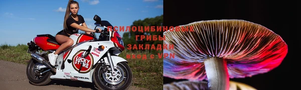 амф Сосновка