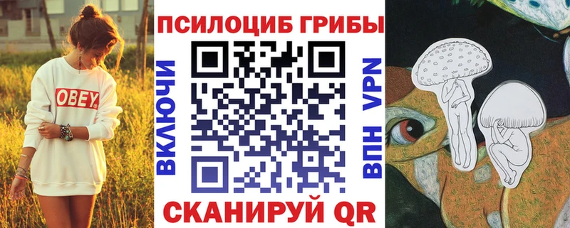 Галлюциногенные грибы Magic Shrooms  наркотики  Ессентукская 